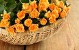 цветы, розы, лепестки, букет, корзина, желтые