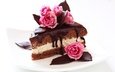 крем для торта, розы, шоколад, сладкое, сахар, торт, десерт, глазурь, кусочек