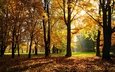 свет, деревья, солнце, природа, листья, лучи, парк, осень, тени
