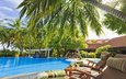 пальмы, бассейн, отдых, тропики