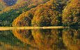 деревья, берег, отражение, осень, япония, фукусима, озеро акимото