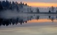 озеро, лес, отражение, утро, туман, рассвет, пруд, гладь