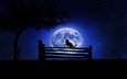 ночь, дерево, звезды, кот, луна, бабочка, забор