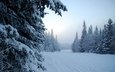 небо, деревья, снег, лес, зима, туман