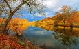 небо, деревья, озеро, природа, отражение, осень, красота, осенняя листва