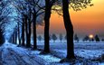 дорога, деревья, закат, зима, морозный вечер, холодные дни