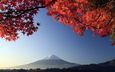 небо, листья, фон, пейзаж, гора, осень, япония, вулкан, клен, фудзияма