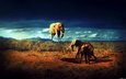 pustynya, zhivotnye, slon, slony, afrika