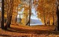 деревья, озеро, горы, природа, лес, листья, осень