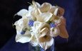 цветы, букет, ваза, каллы, мускари, ранункулюс, белые цветы, сочетание