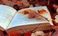 листья, листва, осень, текст, книга, страницы