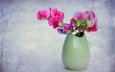 цветы, фон, букет, ваза, орхидея