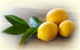 макро, фрукты, цитрус, листики, лимоны