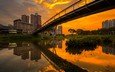 закат, мост, сингапур, бишен парк