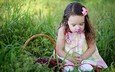 трава, настроение, цветок, дети, девочка, корзинка
