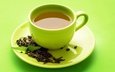 мята, листья, чашка, чай, заварка, зеленый чай