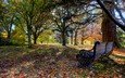 деревья, листья, парк, осень, скамейка, новая зеландия, бленхейм, pollard park