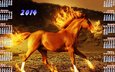 календарь, год лошади, картинка 2014