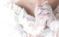 белые, руки, невеста, перчатки