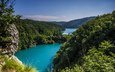 деревья, природа, зелень, пейзаж, хорватия, пещеры, republika hrvatska, plitvička jezera, плитвицкие озёра, национальный парк
