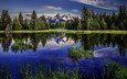 озеро, лес, отражение, скалистые горы, вайоминг, beaver pond, гранд-титон, гранд -титон национальный парк
