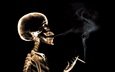 дым, рентген, сигарета, скелет
