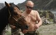 лошадь, горы, природа, обои, путин, президент россии, премьер-министр россии, владимир путин