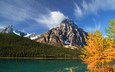 деревья, озеро, горы, лес, осень, канада, альберта, lower waterfowl lake, howse peak, mount chephren, банф, провинция альберта, национальный парк банф