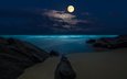 ночь, море, пляж, луна, полнолуние