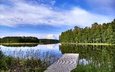 деревья, озеро, мостик, пейзаж, финляндия