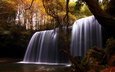 деревья, природа, камни, лес, водопад, осень, лоза, красиво