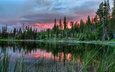 деревья, озеро, закат, пейзаж, канада, провинция альберта