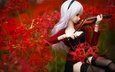 цветы, скрипка, кукла