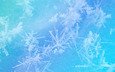 снежинки, зимний узор, голубая текстура