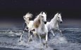 декабрь, январь, три белых коня, эх, и февраль