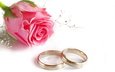 роза, кольца, свадьба