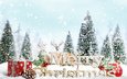 снег, орнаменты, декорация, встреча нового года, presents, счастливого рождества, новогодняя елка, белоцветник