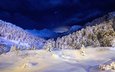 небо, ночь, горы, снег, дерево, лес, зима