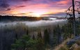 небо, деревья, восход, лес, туман, рассвет, вид сверху, осень, финляндия