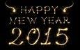 новый год, встреча нового года, золотая, 2015 год, бенгальские огни, довольная