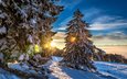 солнце, снег, лес, зима, швейцария, grenchenberg