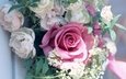 розы, букет, праздник, нежные, пионы, яркие цветы, красочные цветы