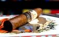 abbildung, makro, zigarre, tabak, кубинская сигара