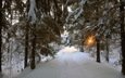 дорога, деревья, снег, зима, пейзаж
