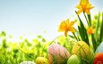 цветы, весна, пасха, яйца