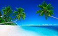 солнце, берег, море, песок, пляж, пальмы, океан, остров, тропики