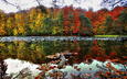 деревья, озеро, лес, отражение, пейзаж, осень