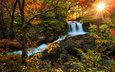 деревья, река, солнце, лес, водопад, осень