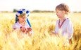 поле, девочка, пшеница, мальчик