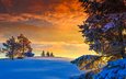небо, деревья, снег, природа, зима, пейзаж, закат солнца, камень, сумерки, норвегия